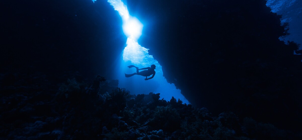 Merging Oceans Merging luxury with ocean conservation