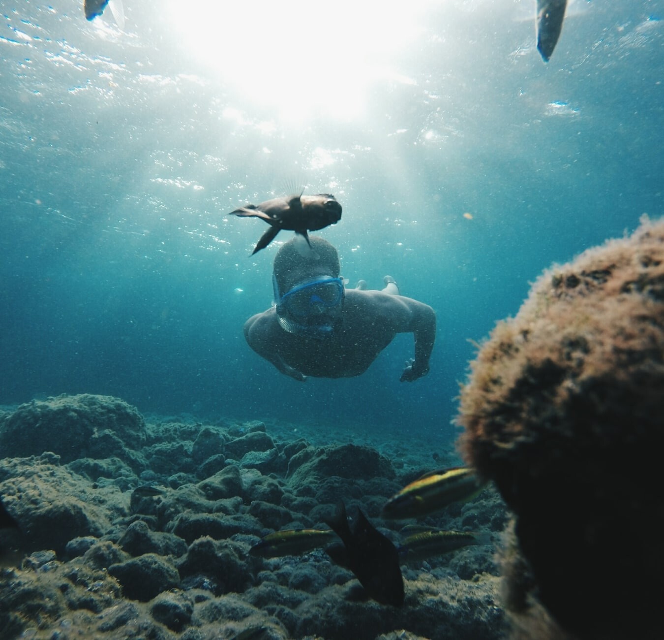 Article fluid image 17-min