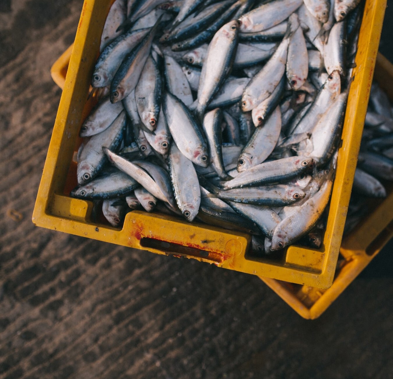 Article fluid image 15-min