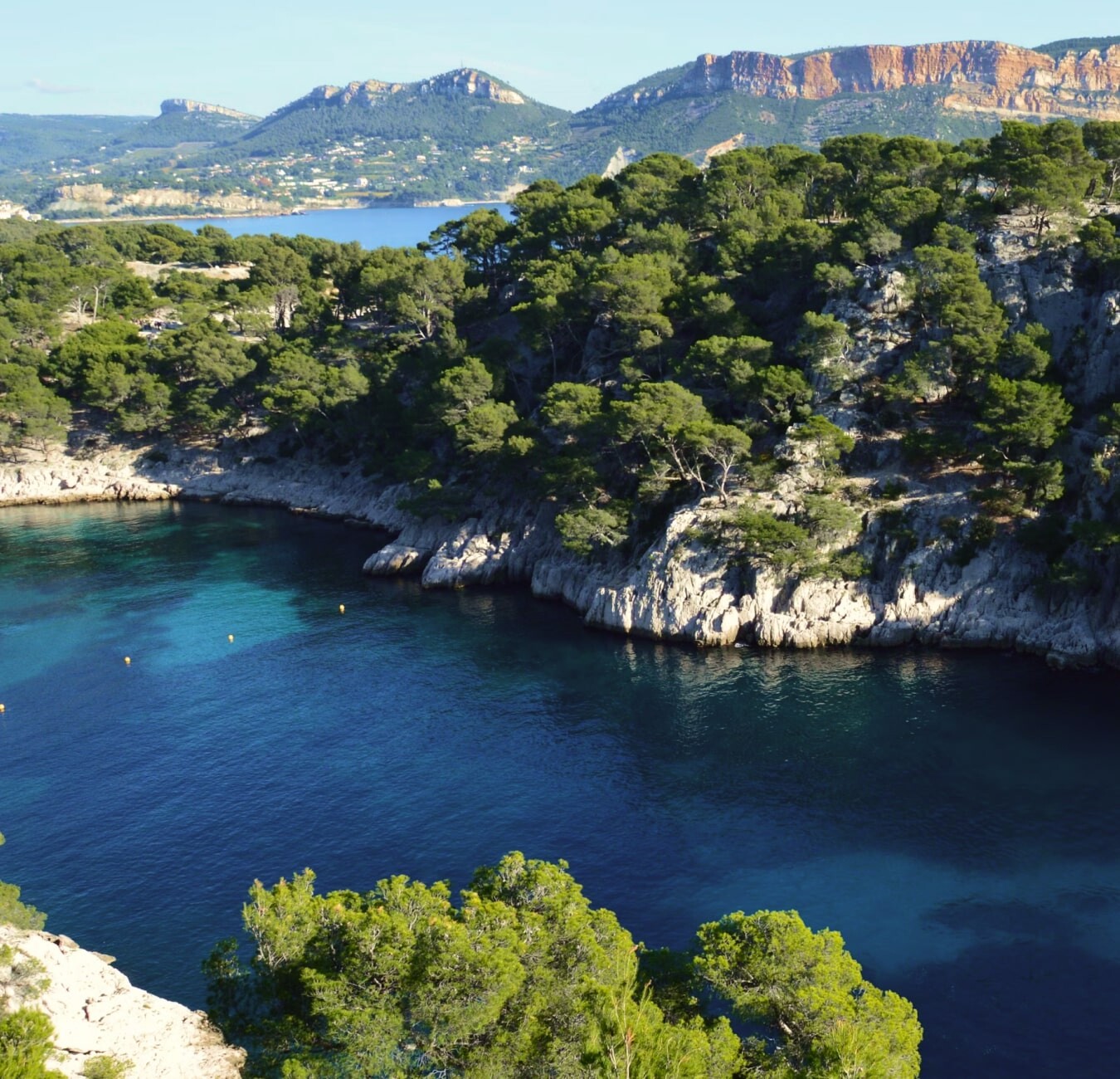 Article fluid image 26-min