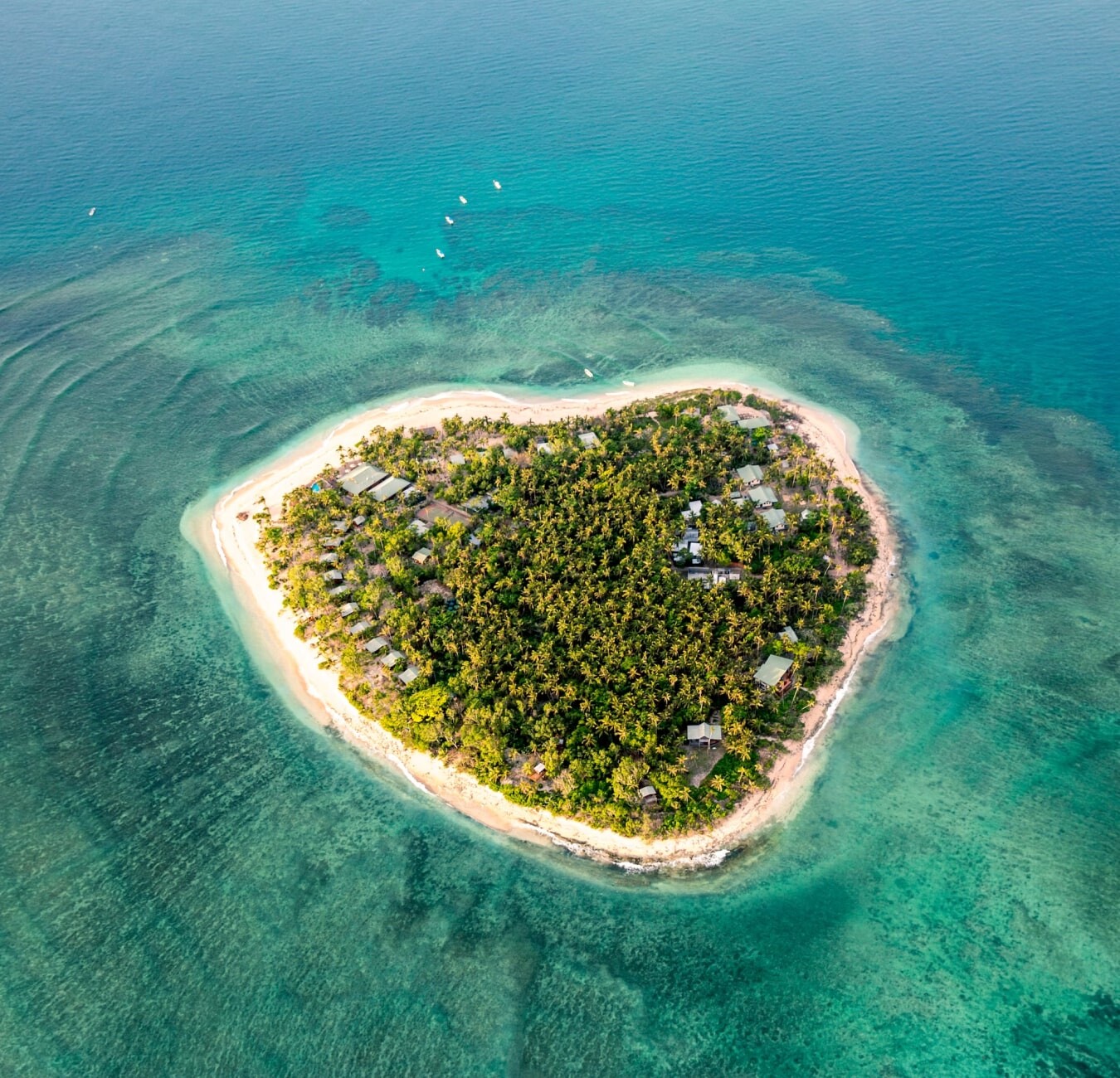 Article fluid image 14-min