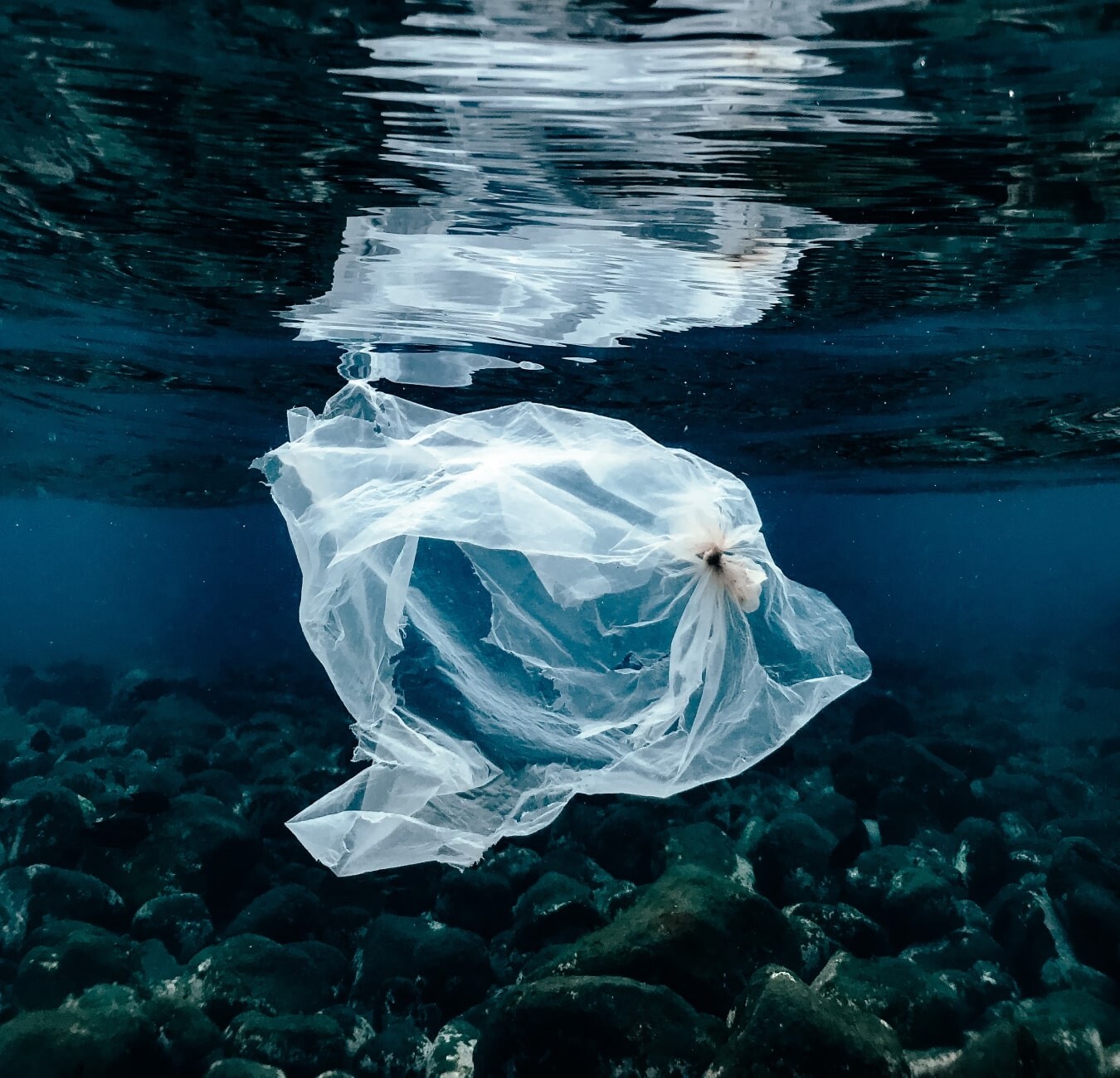 Article fluid image 16-min