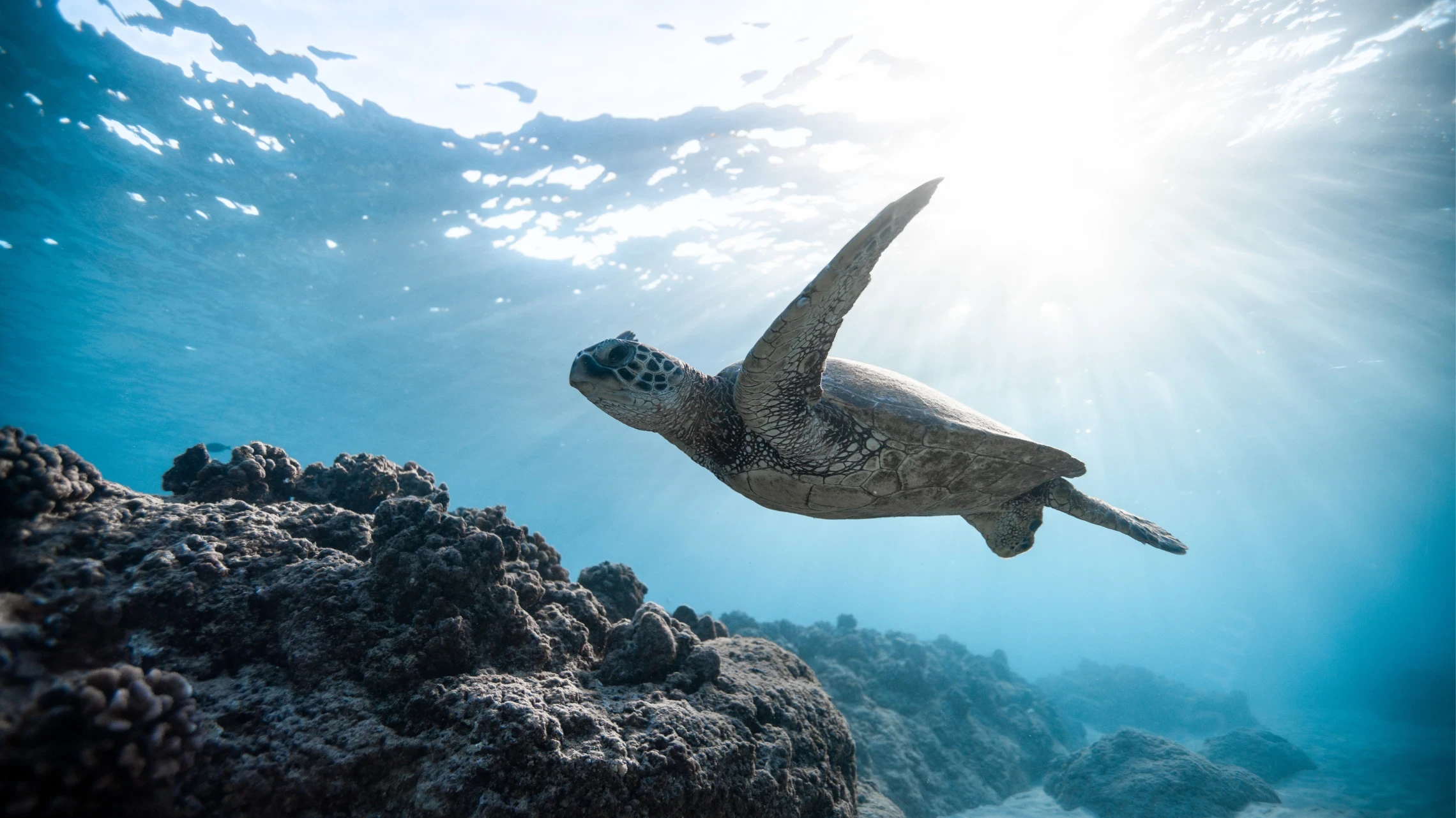 A new way of exploration