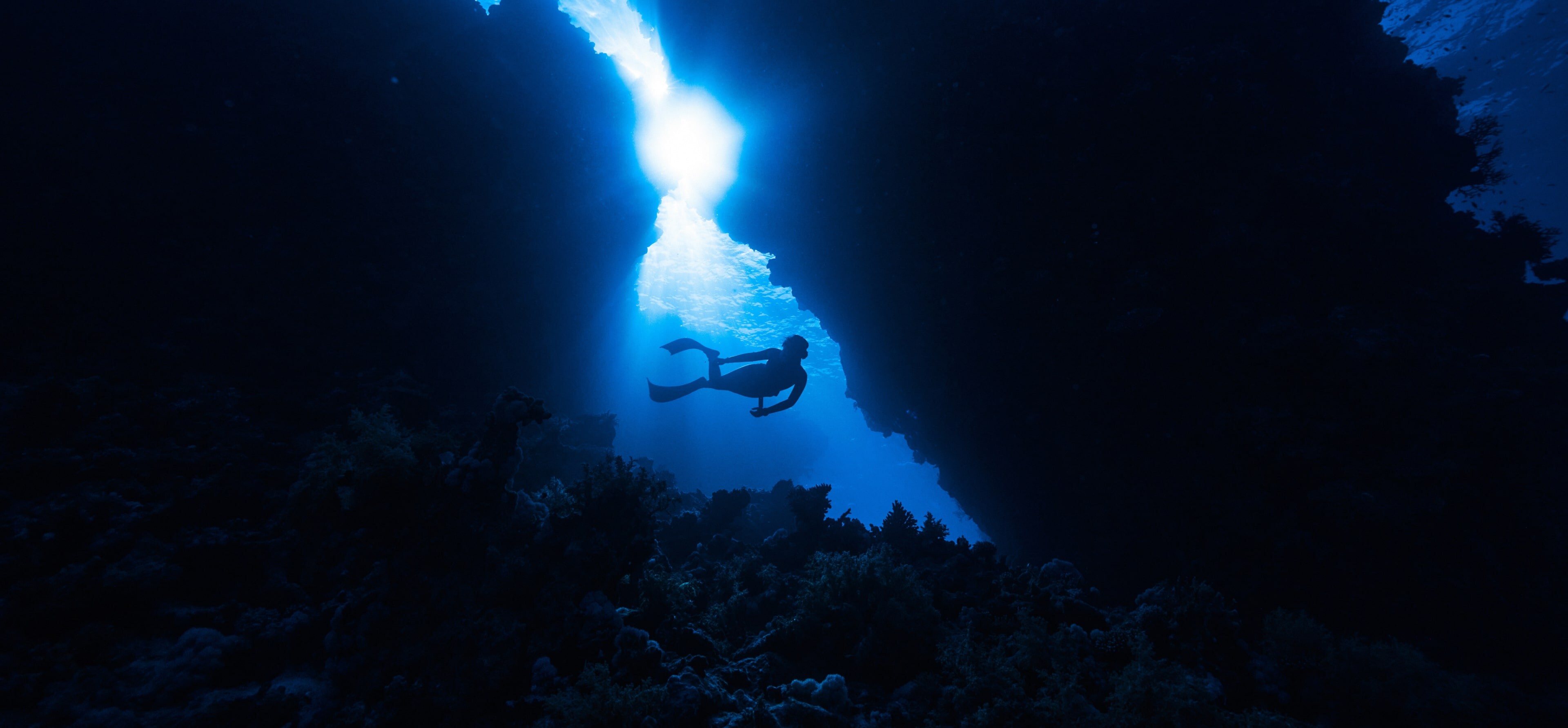 Article hero image-min