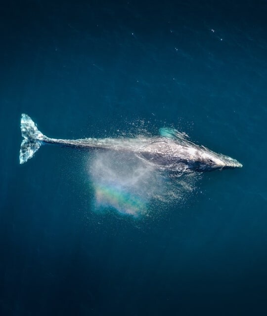 Article thumbnail medium-min